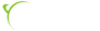 systronic